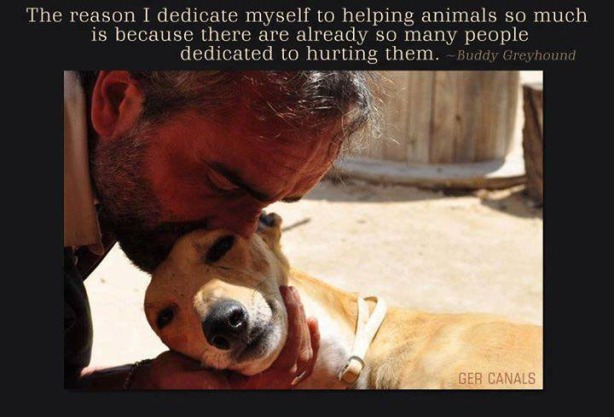 Kendimi hayvanlara yardım etmeye bu kadar adamış olmamın sebebi, kendini onları incitmeye adamış çok fazla insan olmasındandır.-Buddy Greyhound-